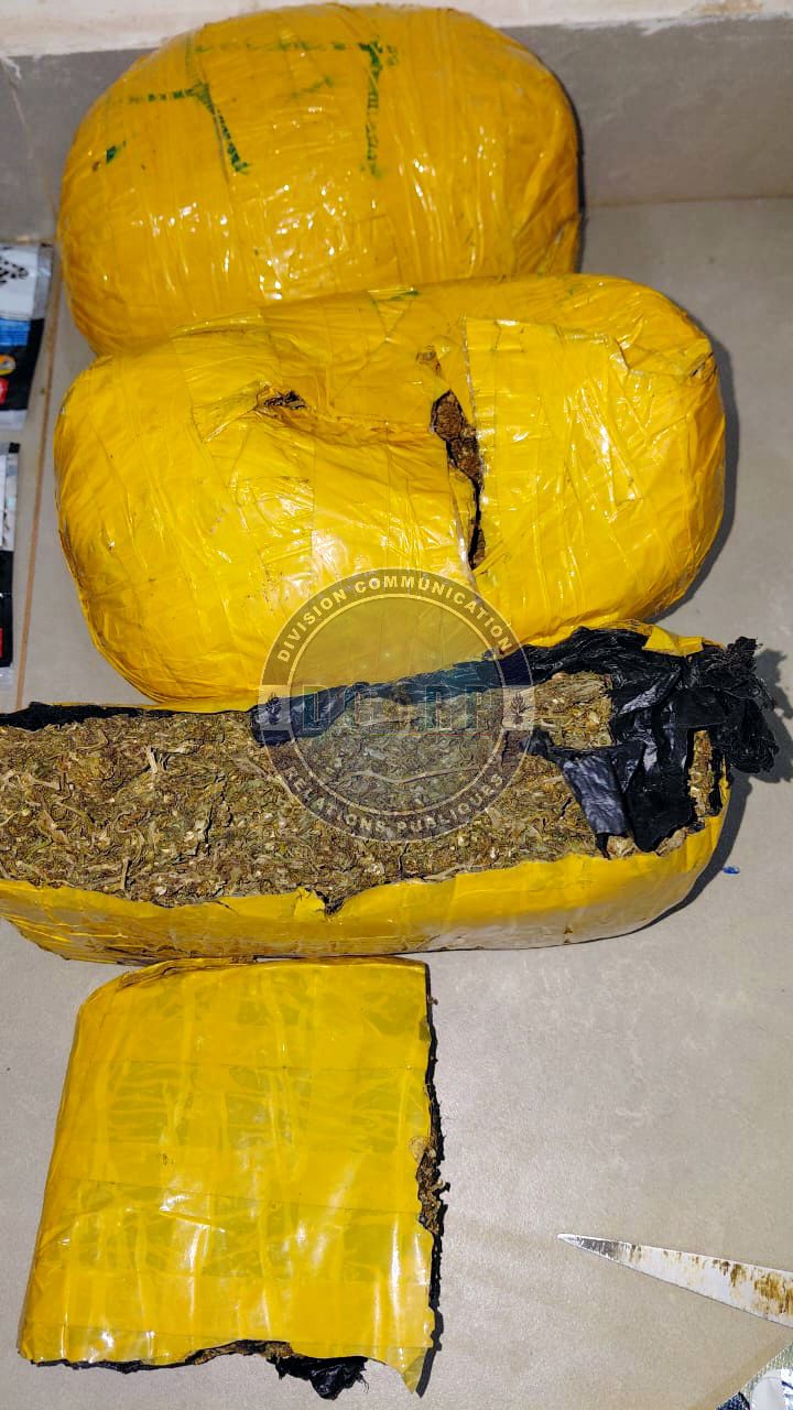 Lutte contre le trafic de drogues : des produits psychotropes saisis à BOKHODY (SARAYA) - Image 5